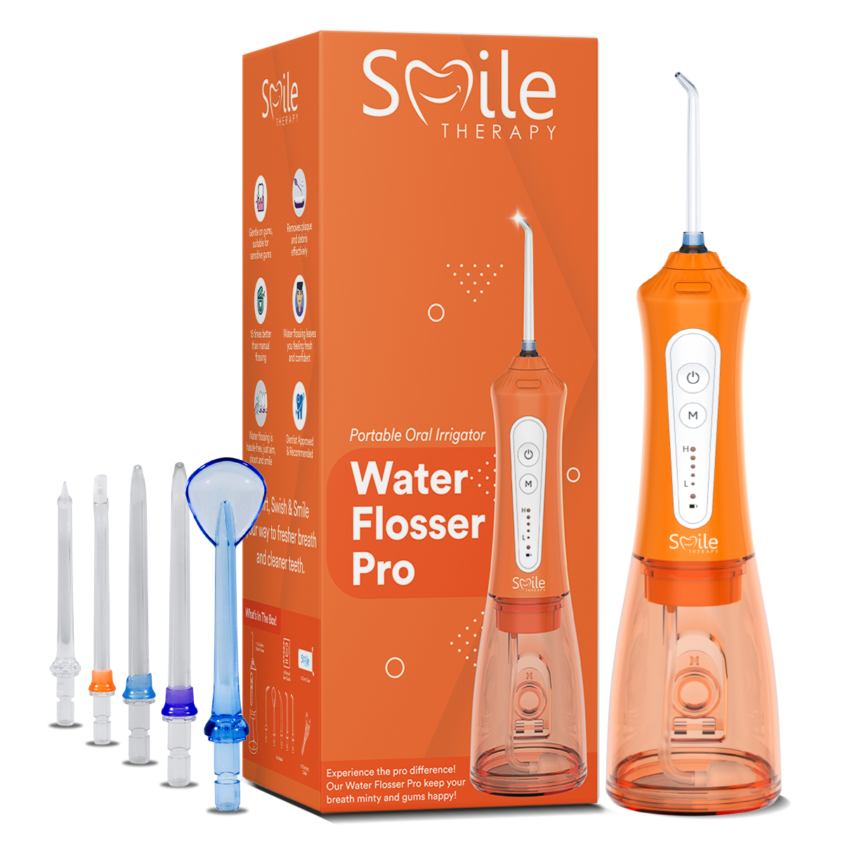 Dental Wireless 4 in 1 Water Flosser DP6